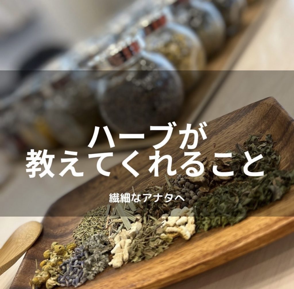 画像コンテンツ