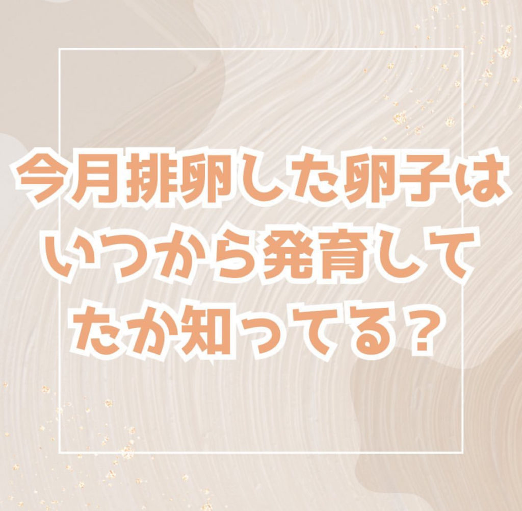 画像コンテンツ