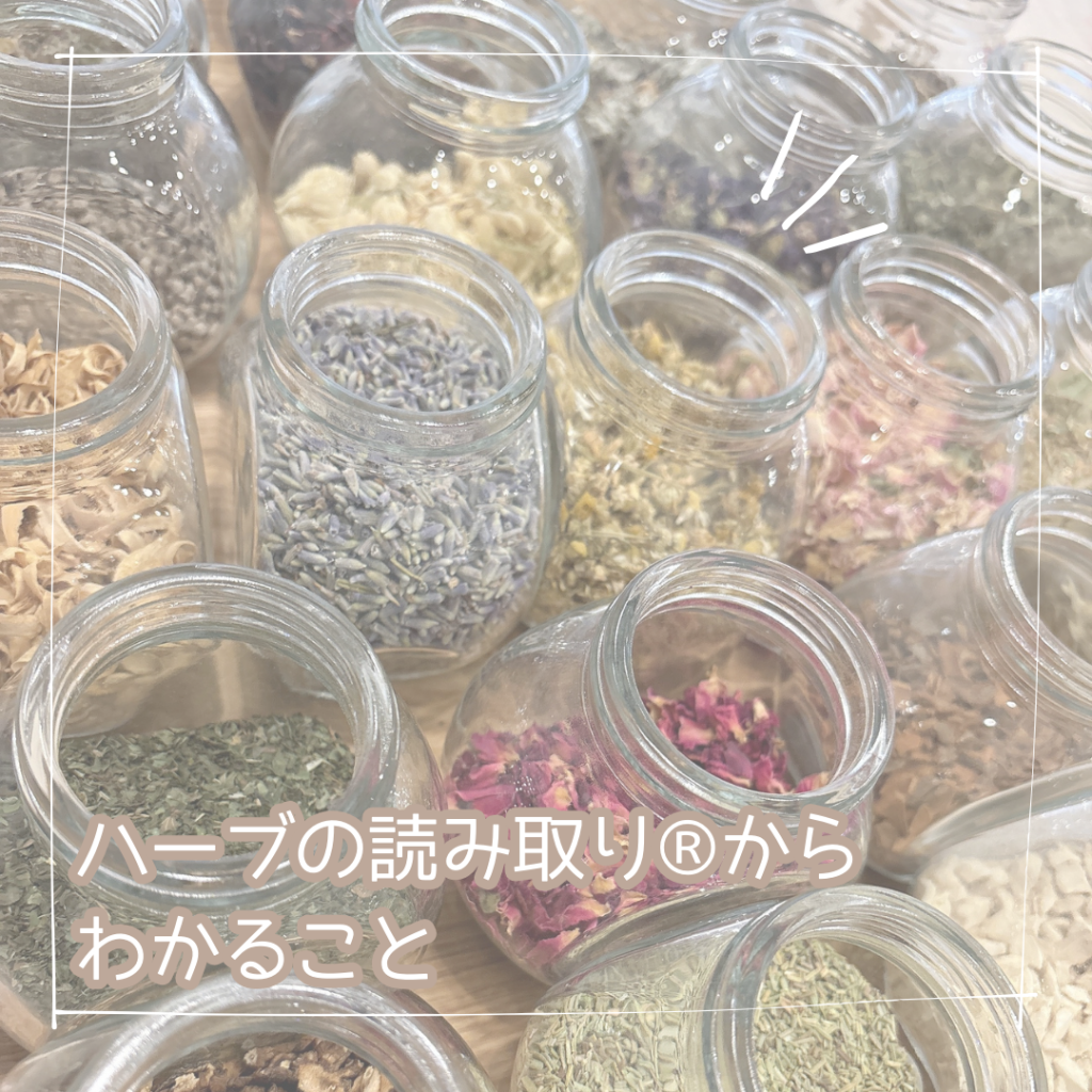 画像コンテンツ