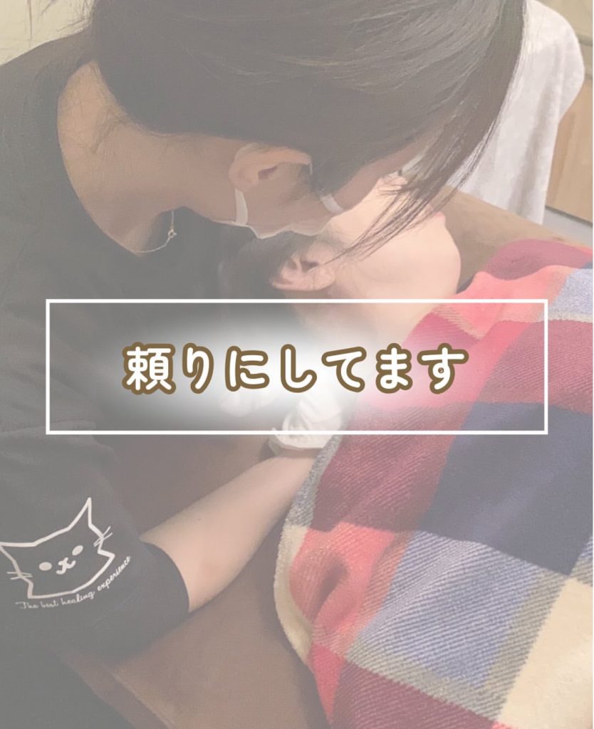 画像コンテンツ