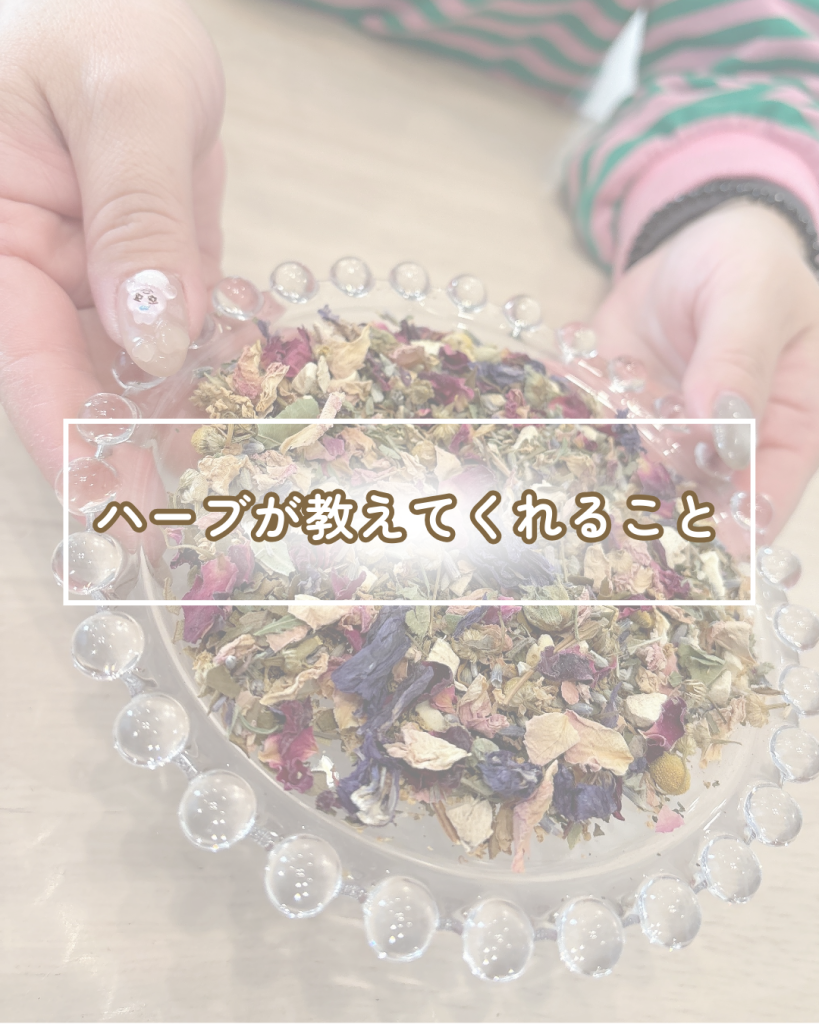 画像コンテンツ