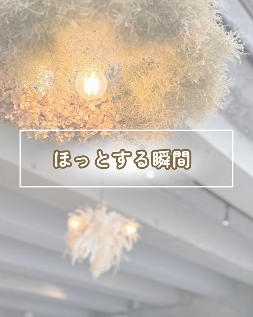 画像コンテンツ