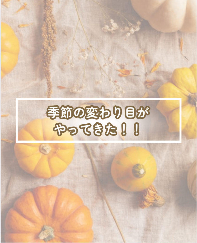 画像コンテンツ