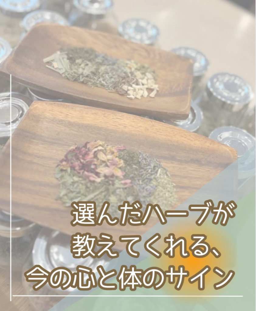 画像コンテンツ